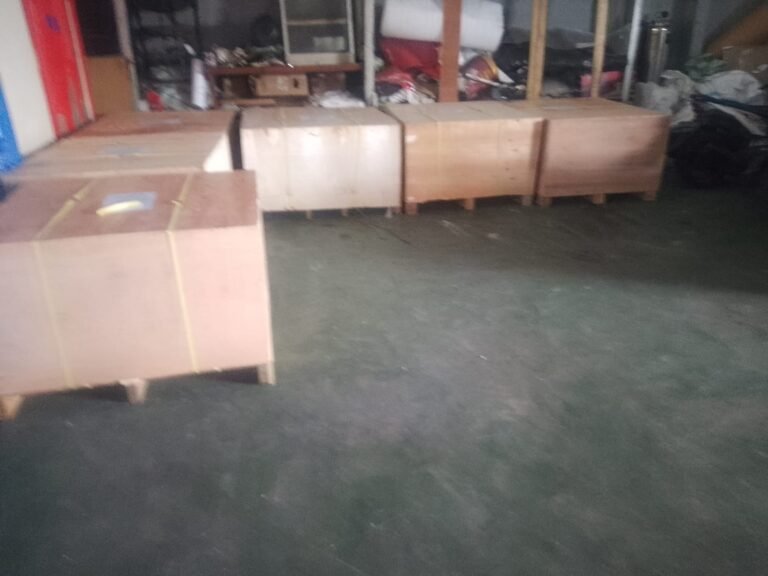 WhatsApp Image 2025-11-25 at 16.38.07